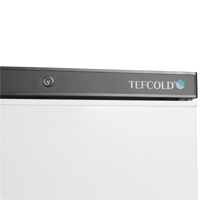 TEFCOLD UF 200 V Mrazicí skříň plné dveře, bílá