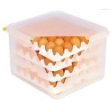 plast box s pláty na vejce ST