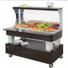 SALÁTOVÝ BAR PŘÍSTĚNNÝ CHLADÍCÍ SBM 40 F - WENGE