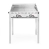 Plynový gril se 2 hořáky, HENDI, Profi Line, Včetně 2 mřížek GN 1/1 z nerezové oceli, 11,6kW, 740x612x(H)825mm