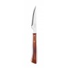 Steakový nůž, řada FOREST, Arcos, Dřevo, (L)220mm