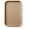 Polypropylenový podnos na rychlé občerstvení GN 1/1, AmerBox, GN 1/1, Hnědá, 530x325x(H)20mm, Obdélníkové