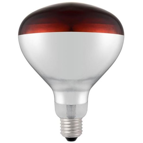 Infračervená žárovka, HENDI, Červená, 230V/250W, ⌀125x(H)170mm