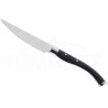 Nůž steakový, POM rukojeť 25 cm