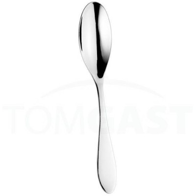 Salsa lžíce jídelní 20,5 cm