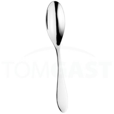 Salsa lžíce jídelní 20,5 cm