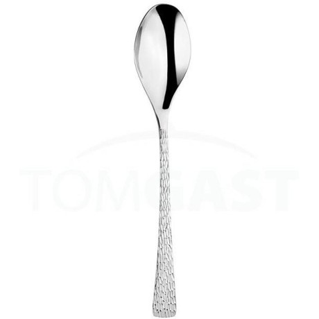Artesia lžíce jídelní 21 cm