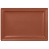 RAK Talíř obdélný 33 × 23 cm, hnědá | RAK-NFCLRP33BW