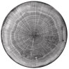 RAK Woodart talíř mělký coupe 24 cm – šedá | RAK-WDNNPR24BG