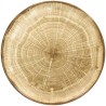 RAK Woodart talíř mělký coupe 29 cm – mechově zelená | RAK-WDNNPR29MG