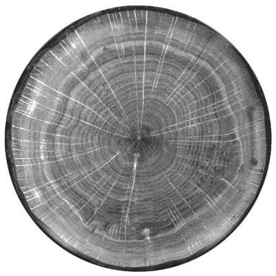 RAK Woodart talíř dezertní coupe 15 cm – šedá | RAK-WDNNPR15BG