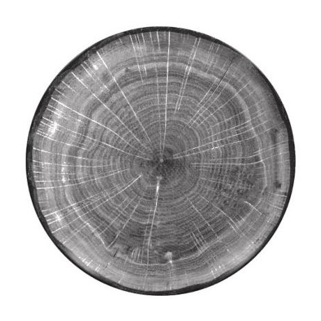 RAK Woodart talíř dezertní coupe 15 cm – šedá | RAK-WDNNPR15BG