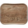Wood podnos 33 × 43 cm, světlá oliva