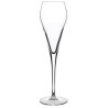 Super sklenice na Prosecco 20 cl