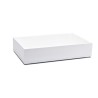 T-Collection box jasan, bílý, 530x325x100 mm