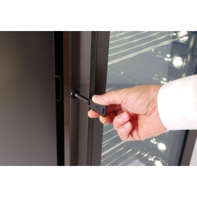 Skřín na suché zrání, Arktic, 352L, Tmavě šedá, 220-240V/170W, 595x760x(H)1720mm