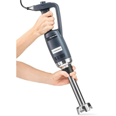 Ruční mixér, délka ramene 25 cm, 0.35 kW, 16000 ot./min | FORGAST FG10250