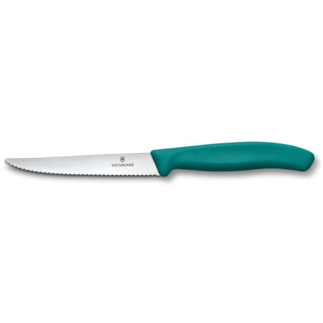 Nůž na steaky a pizzu, Victorinox, Zelená, (L)222mm