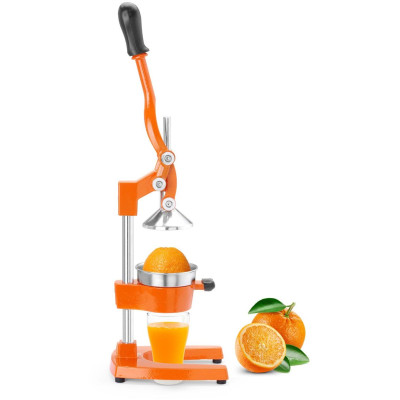Lis na citrusy, BarUp, 225x180x(H)510mm