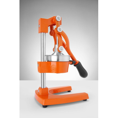 Lis na citrusy, BarUp, 225x180x(H)510mm
