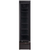 Mrazicí vitrína SLIM, Arktic, 117L, Černá, 230V/350W, 420x600x(H)1880mm