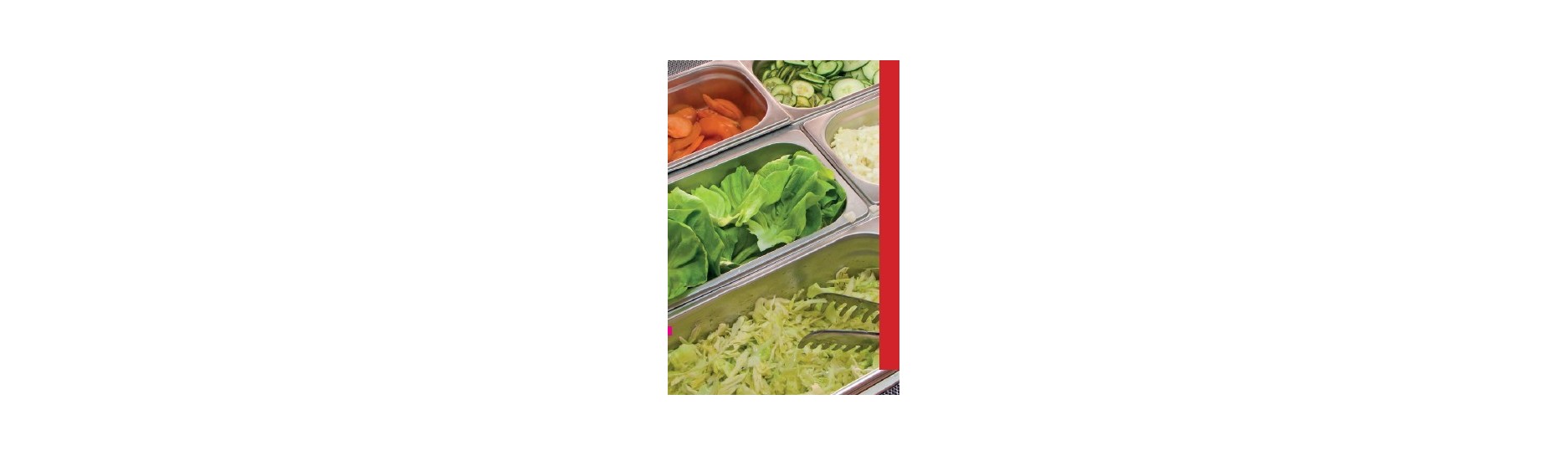 Distribuce jídel, Gastronádoby